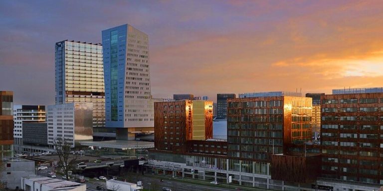 cabinet de management de transition à Lille